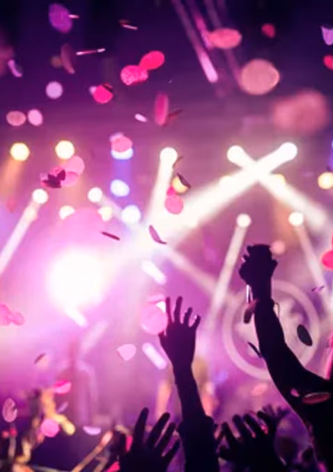 Concert crowd at night